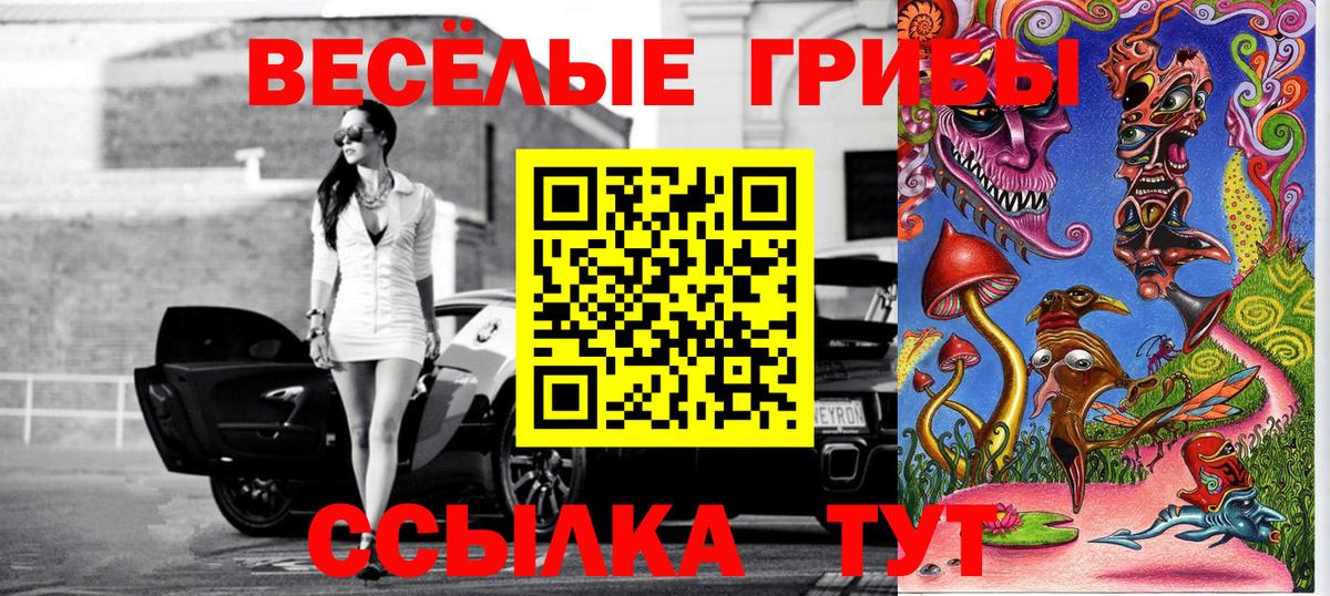 Галлюциногенные грибы Psilocybine cubensis  Галлюциногенные грибы Psilocybe  Вход с VPN  Лиски 
